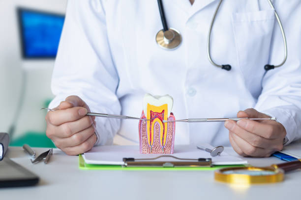 Best Emergency Dental Care for Trauma or Injury in Elton, LA